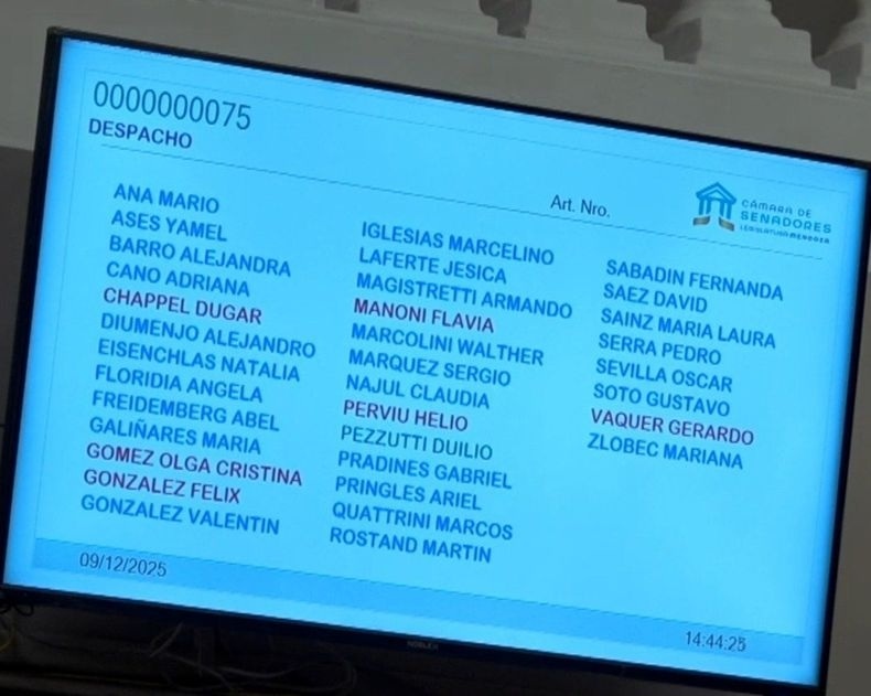 El Senado avaló San Jorge con un fuerte respaldo al Gobierno y una oposición partida