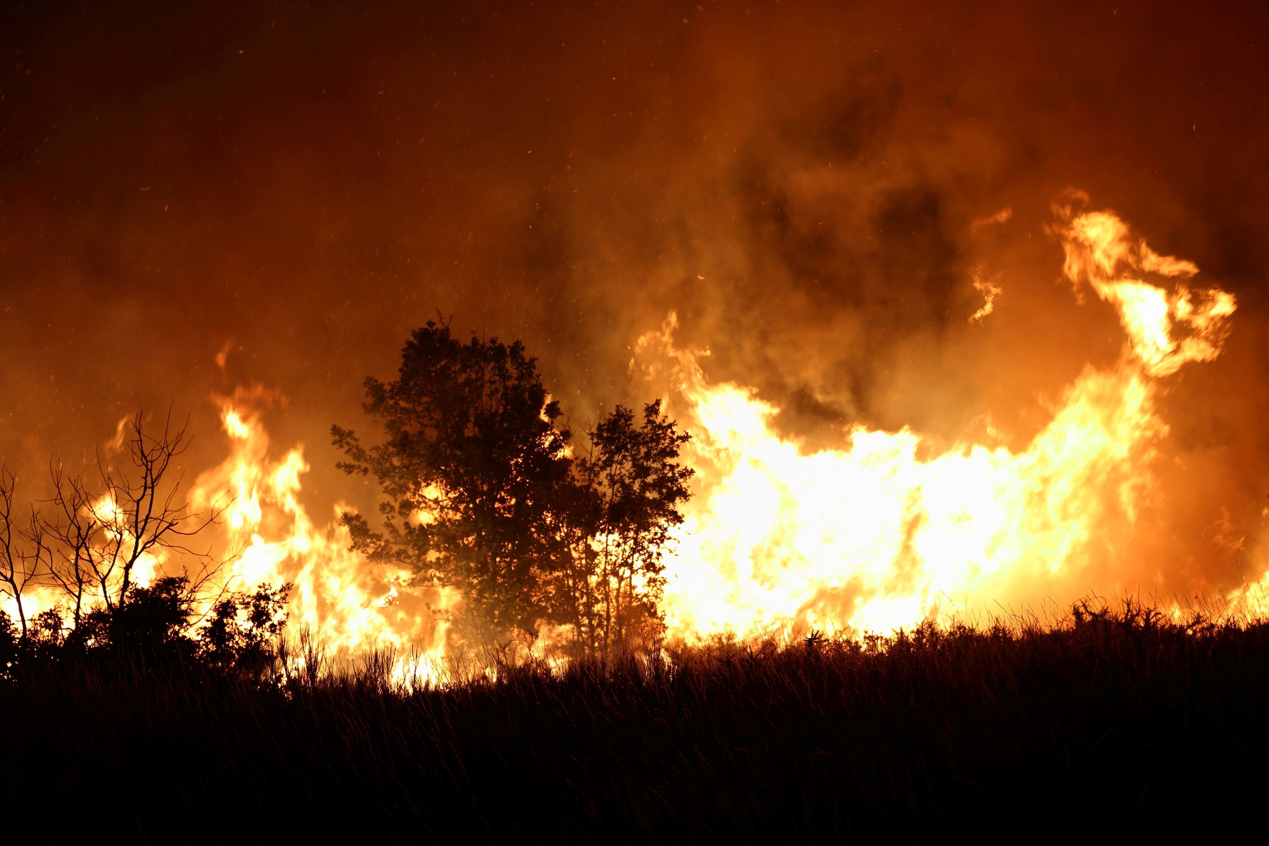 Fuego sin control en El Bols&oacute;n: falta de recursos y sospechas de intencionalidad