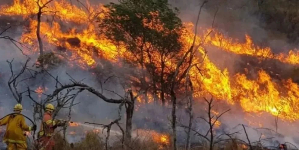 Fondos bajo llave mientras el bosque arde: la millonaria retenci&oacute;n de Ignacio Torres en Chubut