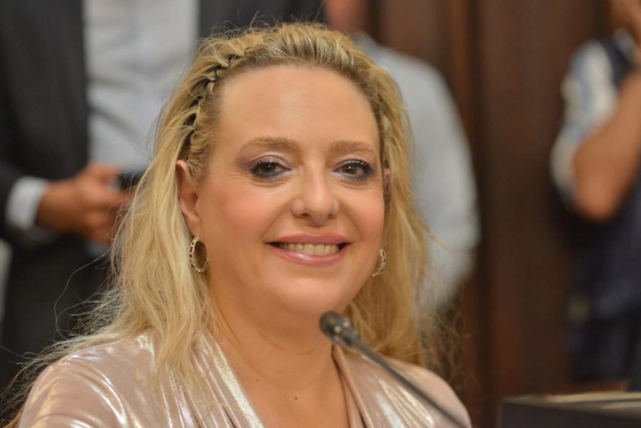 La senadora Flavia Manoni critic&oacute; las 26 leyes del ejecutivo en salud y la ineficacia en la lucha contra la inseguridad 