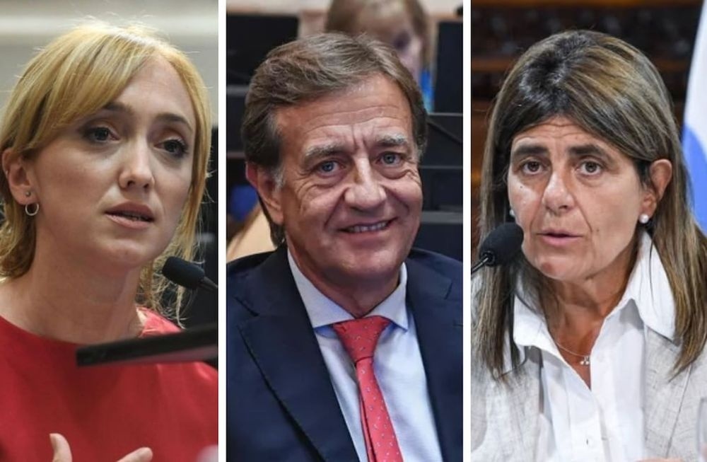 Reforma Laboral en el Senado: Cómo votaron los mendocinos y cuáles son los puntos que fracturaron el recinto