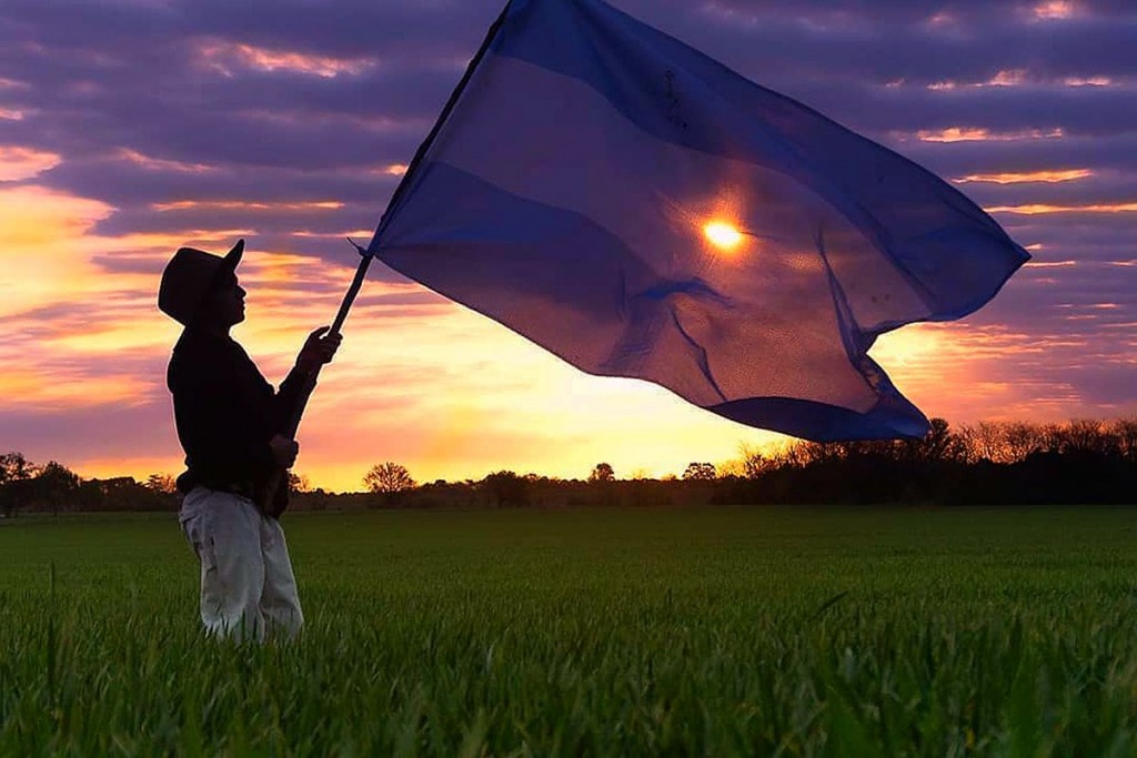 Alerta soberan&iacute;a: 13 millones de hect&aacute;reas ya tienen due&ntilde;os extranjeros, qu&eacute; hay detr&aacute;s de la derogaci&oacute;n de la ley de Tierras