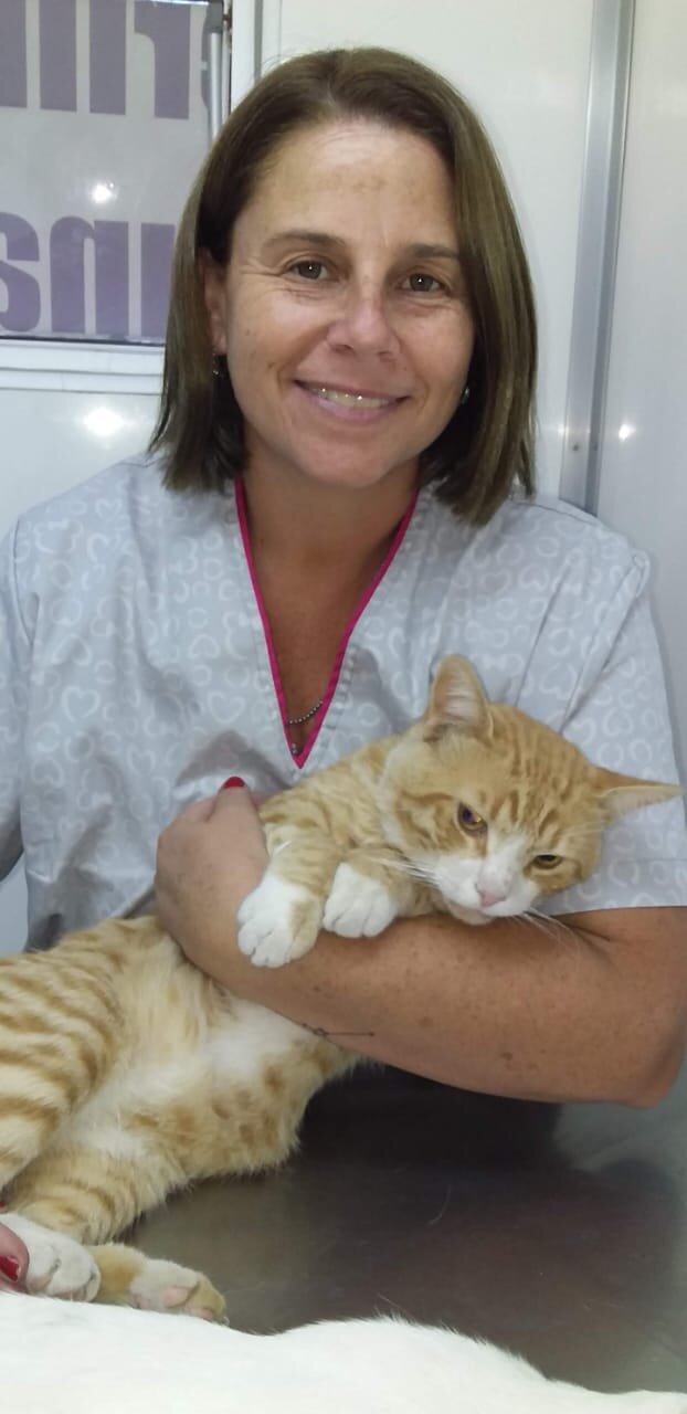 Responsabilidad en la tenencia de mascotas: recomendaciones y obligaciones para una convivencia segura en la comunidad