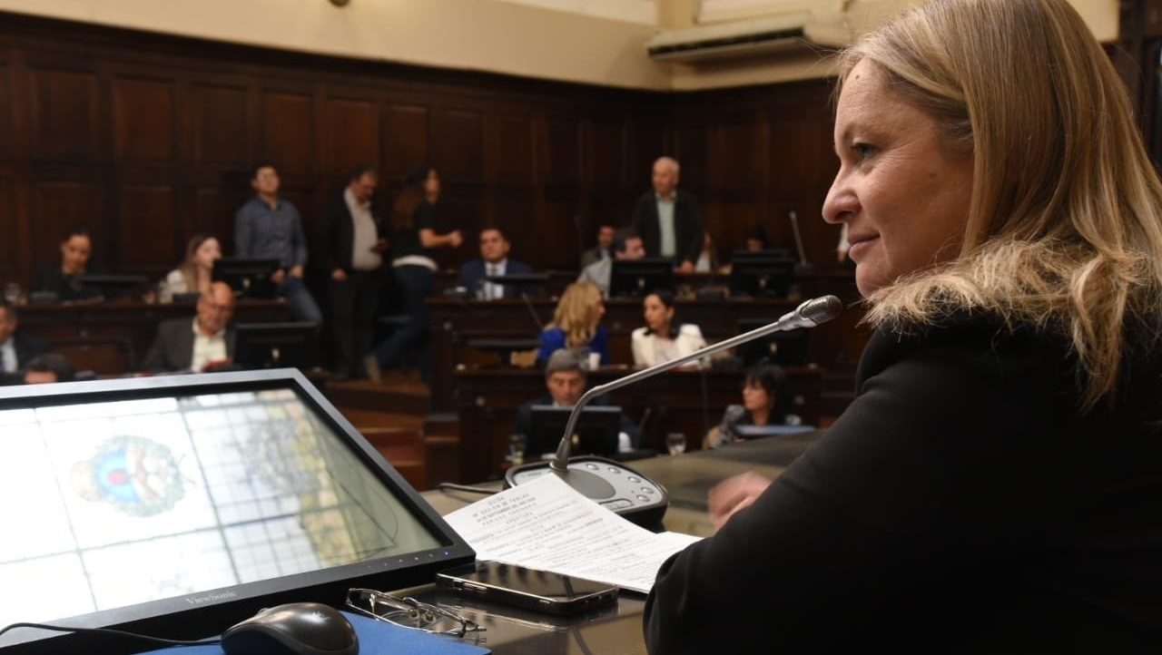 Querellaron al Senado y terminaron censurados: la causa que salpica a Hebe Casado