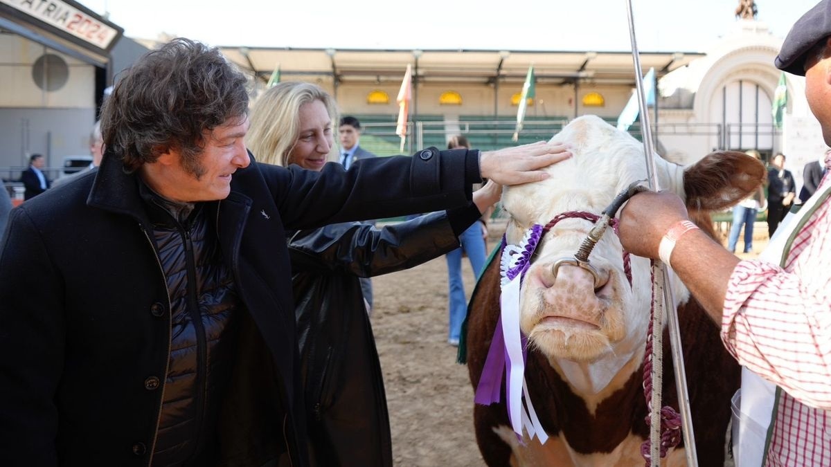 Milei llega a La Rural con promesas para el campo y un gui&ntilde;o a los gobernadores agroexportadores