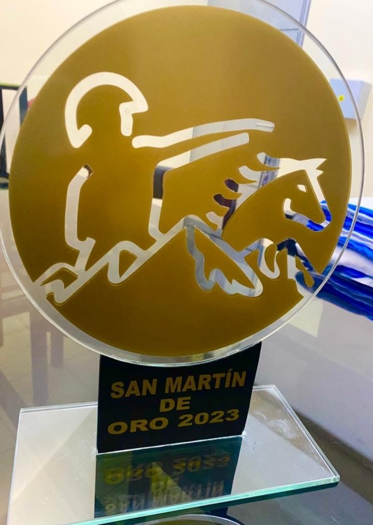 San Mart&iacute;n entrega premios a los deportistas destacados en la "Gala del Deporte"